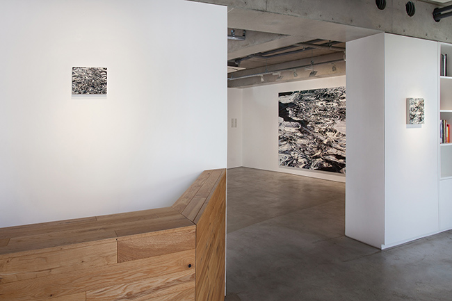 Installation view, artwork: Anne Kagioka Rigoulet, Photo: Naohiro Utagawa